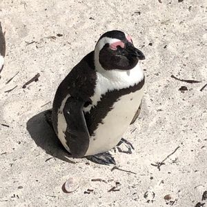 Meet your Posher, Emma